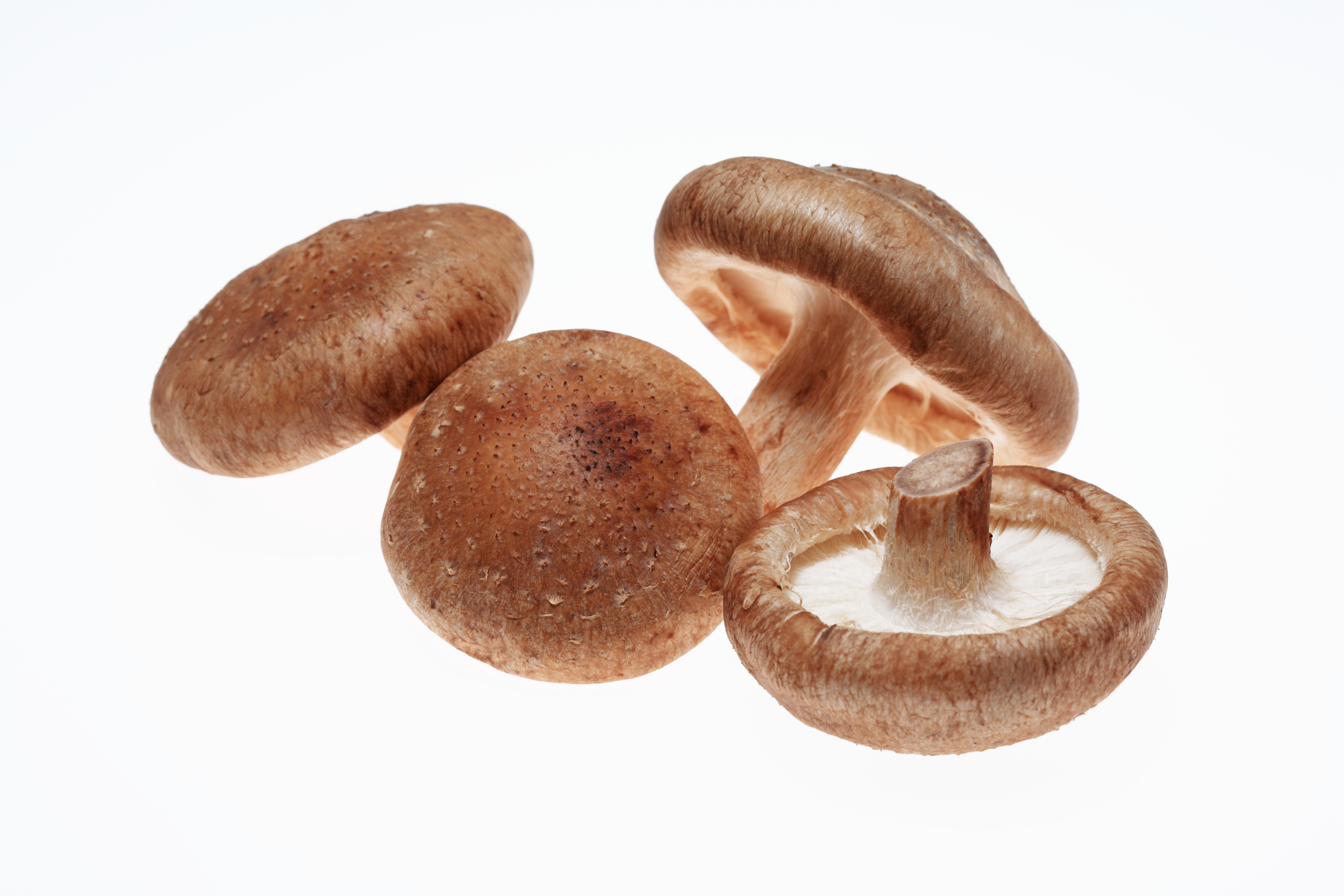 shiitake mushrooms